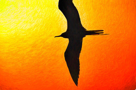 A Single Bird Silhouette Flying With Wings Spread In A n Abstract Painting Style Illustrationの写真素材