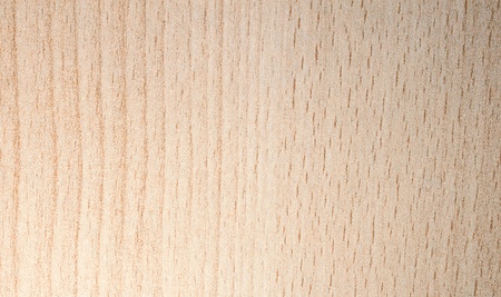 Pattern of light wood artificial tree textureの写真素材