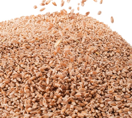 Flyaing wheat for backgroundの写真素材