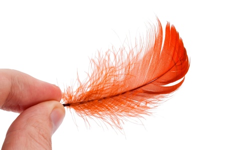 Elegant red feather in human handの写真素材