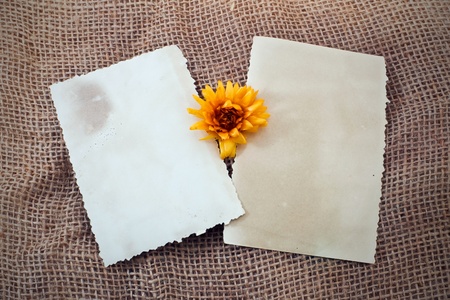 Two photos and  yellow dry flowerの写真素材