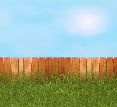 Green grass in garden with fenceの写真素材