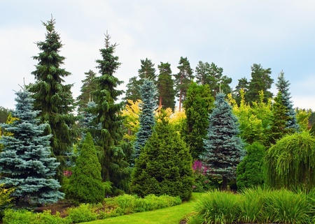 Beautiful garden in summer timeの写真素材