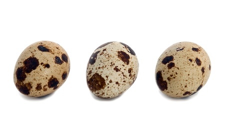 Set of the quail eggs isolated  on white backgroundの写真素材