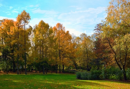 Autumn park with colorful treesの写真素材