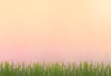 Sunny highlight on sky and green grassの写真素材
