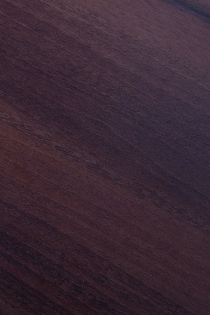 Pattern of the oak backgroundの写真素材