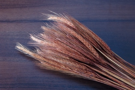 Wheat ears on the wood backgroundの写真素材