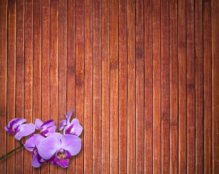 Background texture of brown  wooden floor with orchid flowerの写真素材