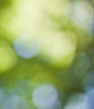 Abstract green spring backgroundの写真素材