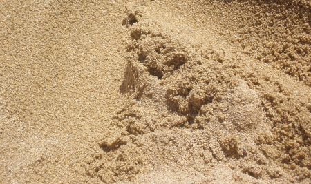 Sand on sunny light  の写真素材