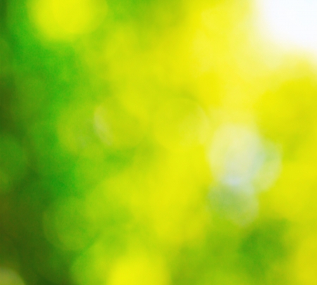 Sunny bokeh backgroundの写真素材