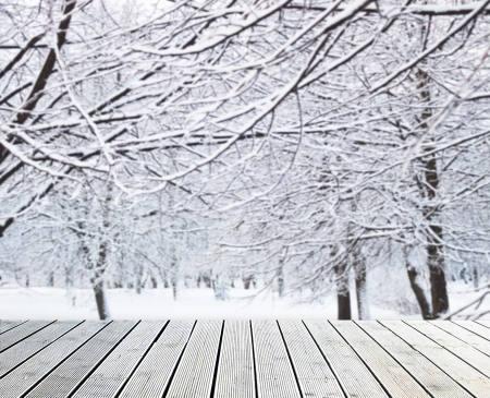 Winter background with snowy park and walkwayの写真素材