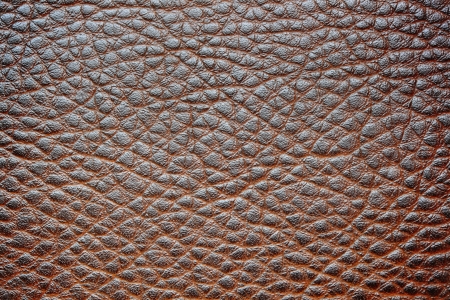 High detailed leather surfaceの写真素材