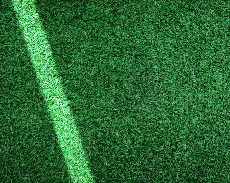 Empty sport grass field with lineの写真素材