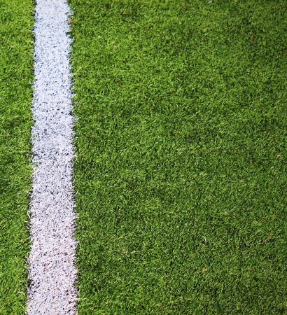 Soccer footblall field with white line