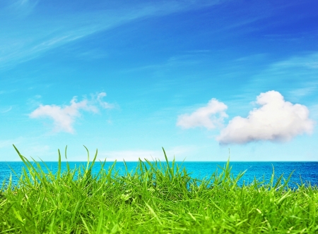 Grass fieldr on sunny day near seaの写真素材