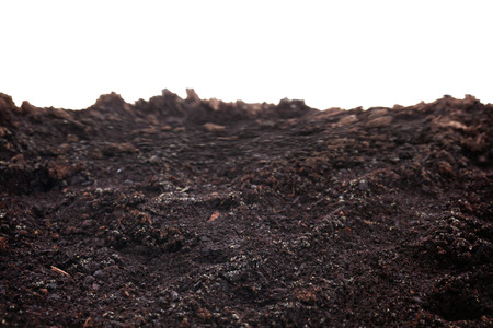 Black good earth soil for plantsの写真素材