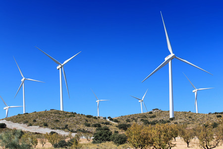 Wind power turbines in field on sunny summer day