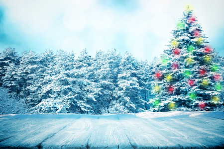 Wooden path or picnic table in winter forestの写真素材