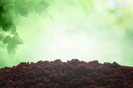 Spring sky with sunny field with blank soil dirtの写真素材