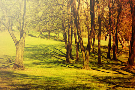 Sunny autumn parkの写真素材