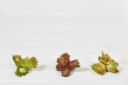 Hazelnuts on white wooden boards