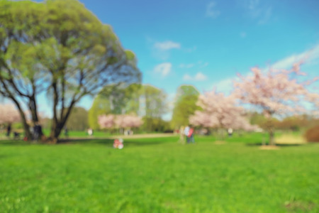 Park in blur with people in springの写真素材