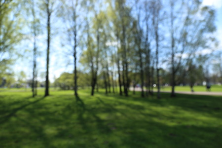 Sunrise on the early spring morningの写真素材