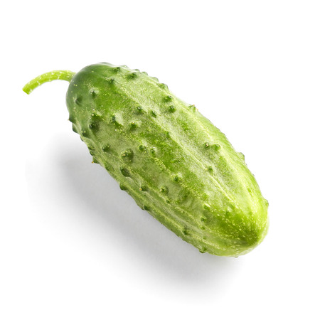 One fresh cucumber on the white backgroundの写真素材
