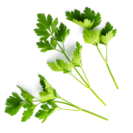 Parsley on white isolatedの写真素材