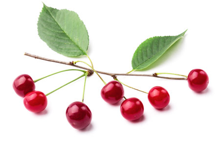 Cherry on the white background with leavesの写真素材