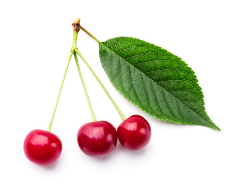 Fresh juicy cherries on whiteの写真素材