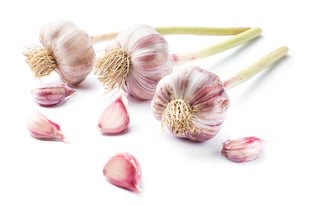 Whole garlic and separate clove of garlics on whiteの写真素材