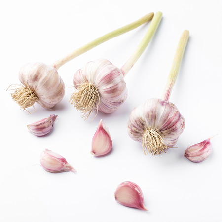 Garlic cloves and the whole oneの写真素材