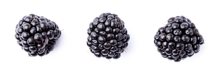Three fresh blackberriesの写真素材