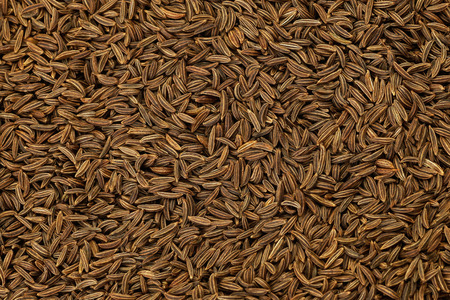 Cumin or caraway seedsの写真素材