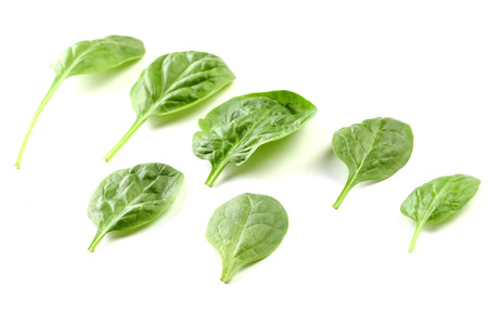 Delisious spinach on whiteの写真素材