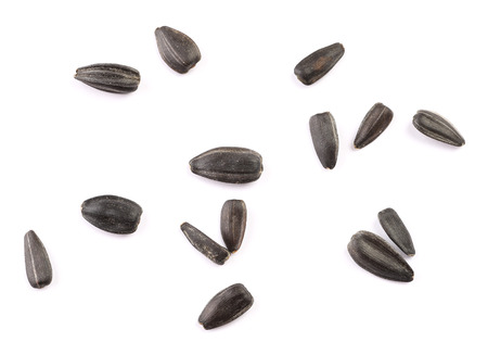 Sunflower seeds on white backgroundの写真素材