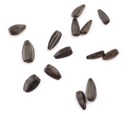 Different sunflower seedsの写真素材
