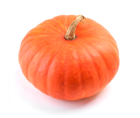 Pumpkin on whiteの写真素材