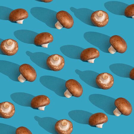 Brown champignons pattern on blue backgroundの写真素材