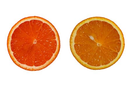 Grapefruit and orange slices on white backgroundの写真素材