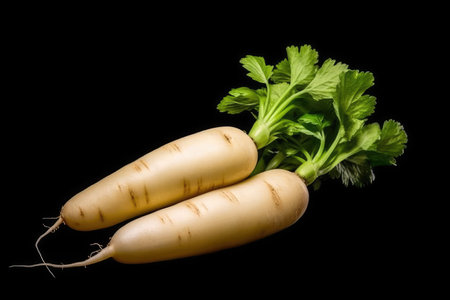 long white radish in the indoor studio ready to be cooked professional advertising food photographyの素材