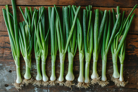 leek isolated kitchen table professional advertising food photographyの素材