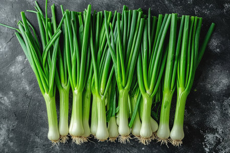 leek isolated kitchen table professional advertising food photographyの素材