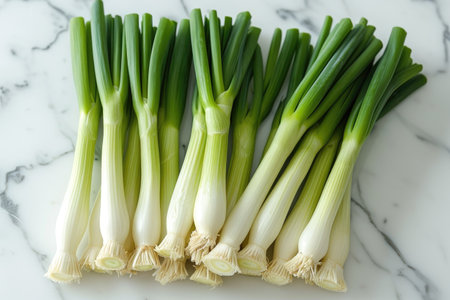 leek isolated kitchen table professional advertising food photographyの素材