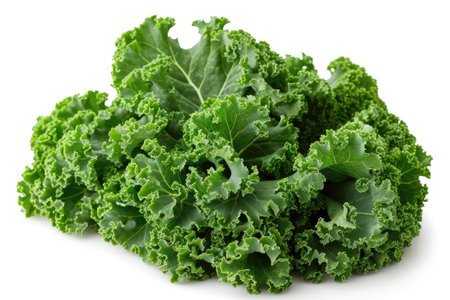 kale isolated kitchen table professional advertising food photographyの素材