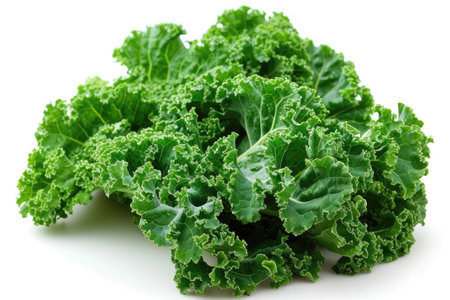 kale isolated kitchen table professional advertising food photographyの素材