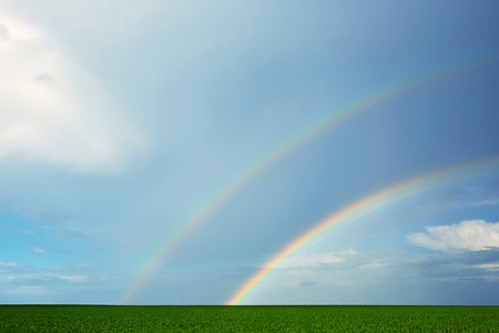 Green field and double rainbowの写真素材